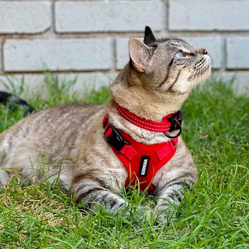 Voyager Step in Lock Cat Harness & Leash Set (Red / S (Chest: 15 - 18"))