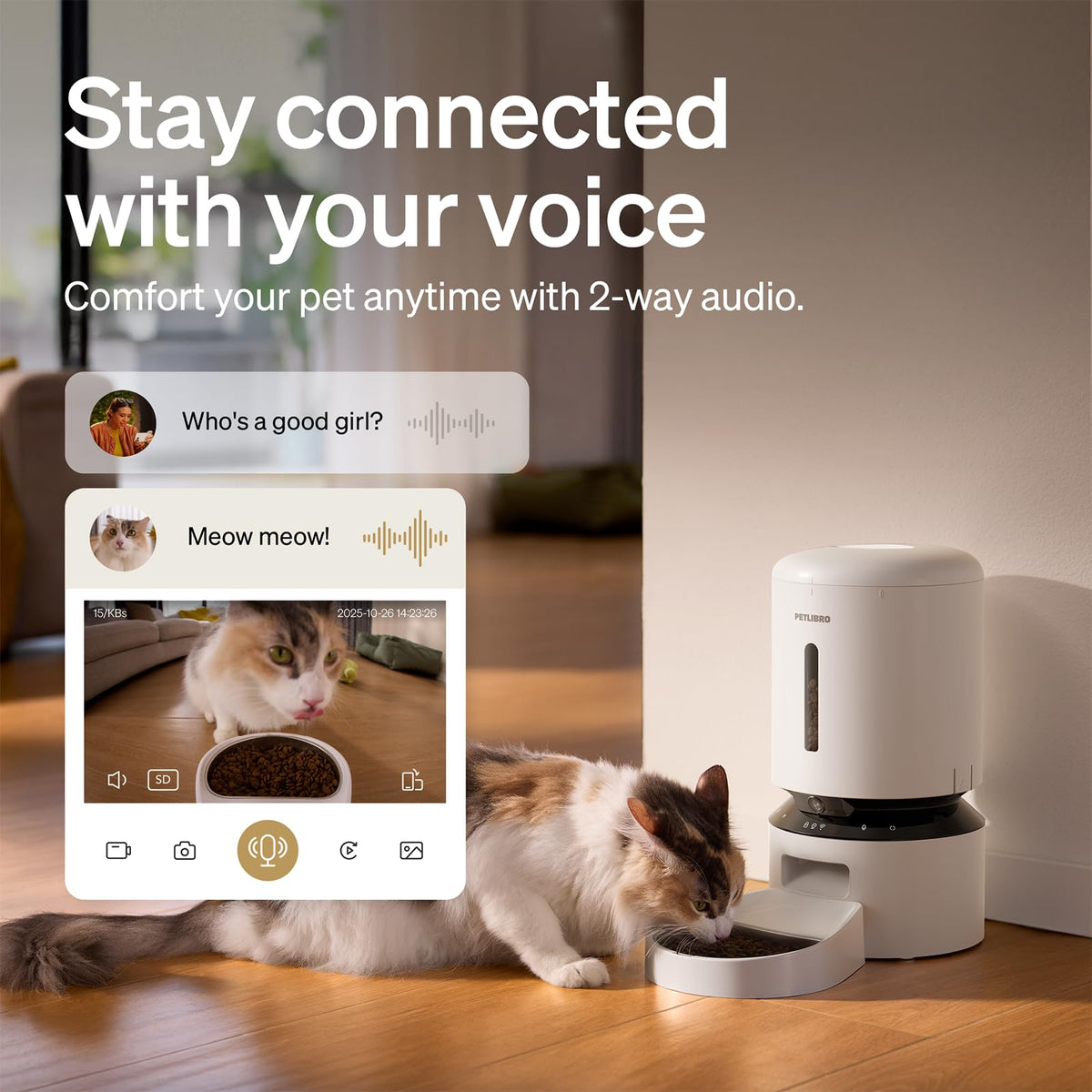 Automatic Cat Feeder with Camera (White / 5l-camera)