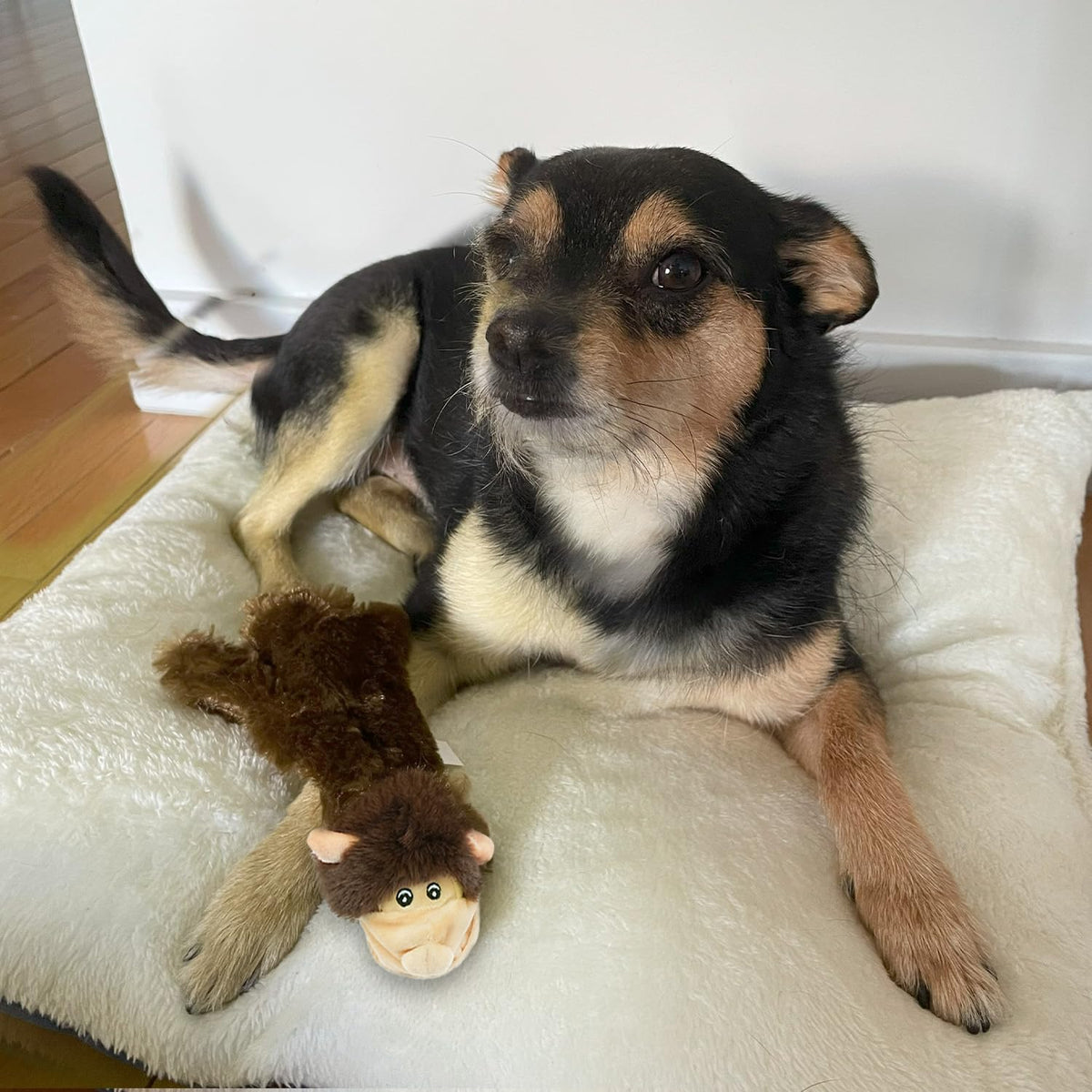 2-in-1 Stuffless Squeaky Dog Toy - Cow, Monkey, Large (Multicolor/Monkey & Cow / Large)