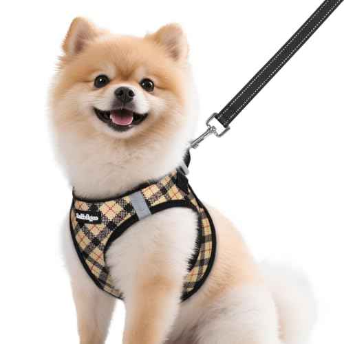 Dog Harness Small Sized and Leash Set (Beige Plaid / M (Chest: 16.0"-18.5"))