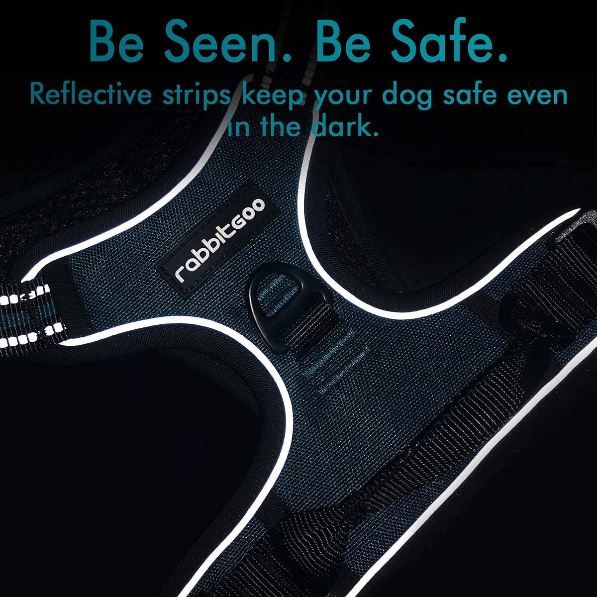 Dog Harness No Pull for Small Dogs with 2 Leash Clips (Small / Blue Coral)