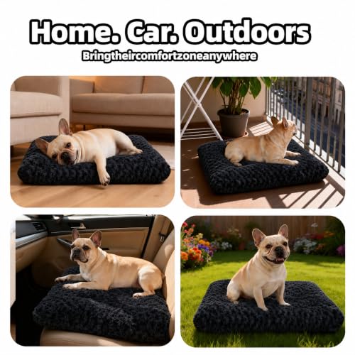 Dog Bed Medium Size (Black / 23"L x 18"W x 3"Th)