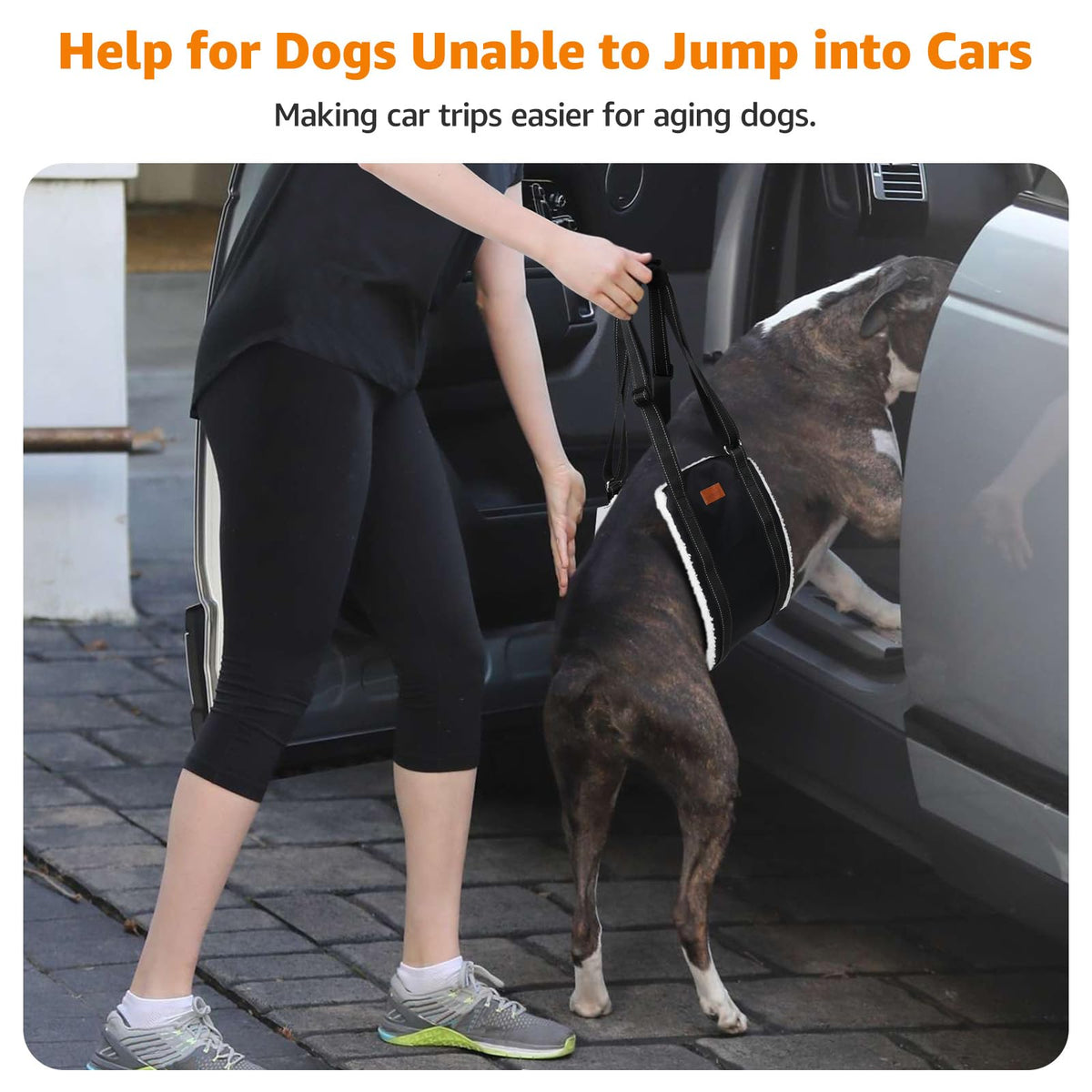 Adjustable Dog Sling for Large Dogs Hind Leg Support ACL Recovery (Black / Large)