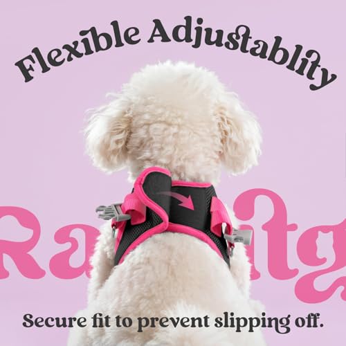 Dog Harness Small Sized and Leash Set (Black & Rose Red / XXS (Chest: 12.4"-14.2"))