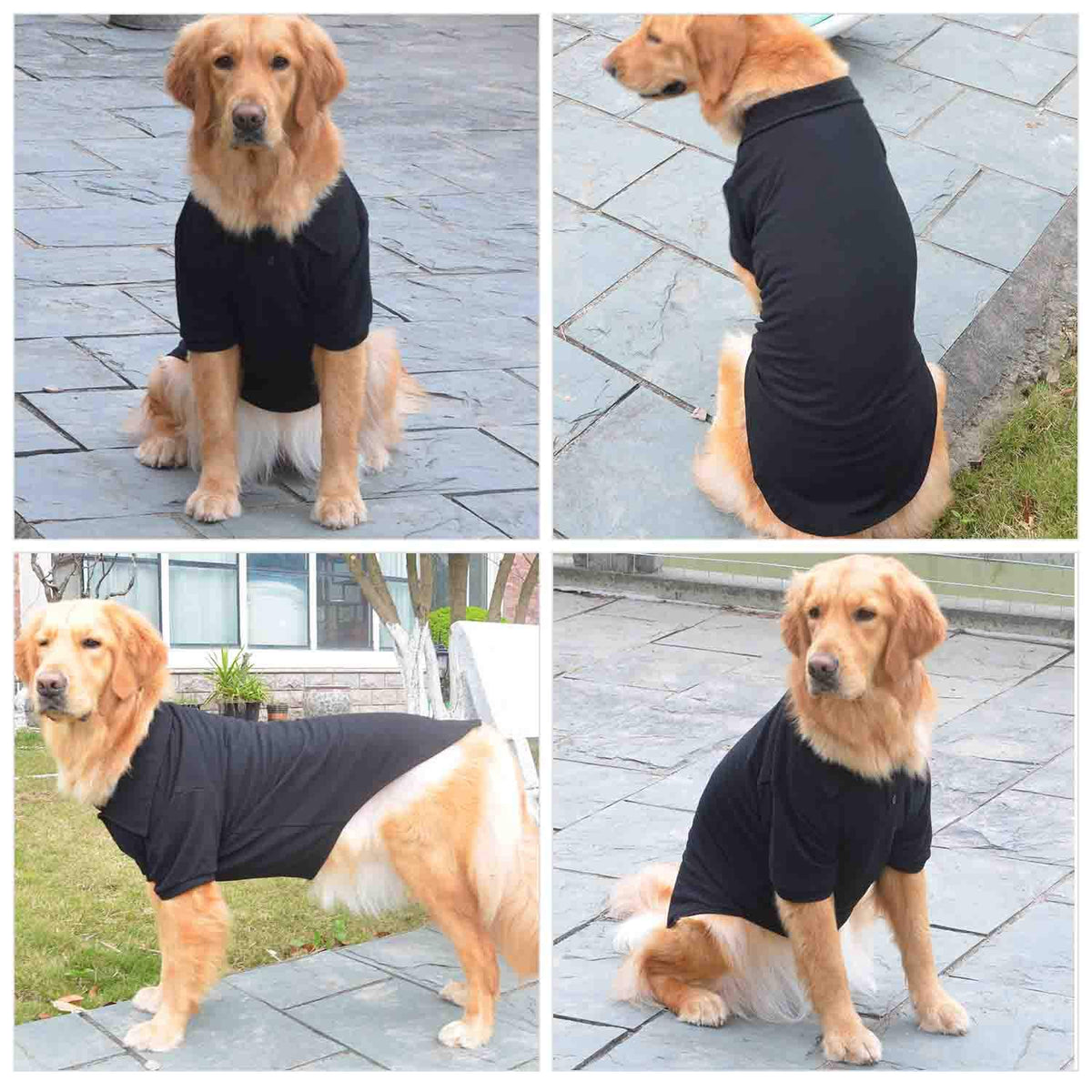Basic Dog Polo Shirts Premium Cotton (XXXL (-75lbs) / Black)