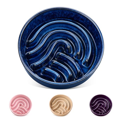 Slow Feeder Dog Bowl (Blue / 0.6 Cups)