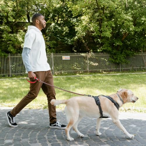 Chain Dog Leash (red / 7.25FT(80-200lb))