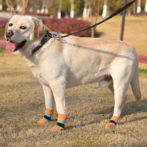 Dog Socks Shoes for Hot Pavement (Orange / Large(4 Pack))