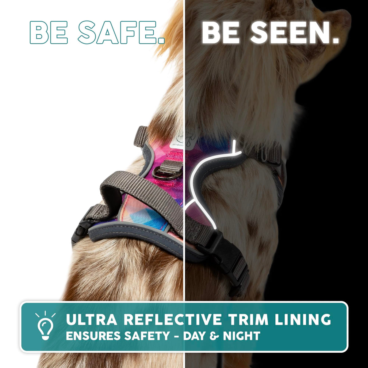 Embark No Pull Dog Harness (XS / Santa Monica)
