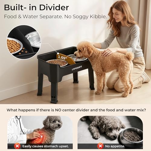 Mess Proof Elevated Dog Bowls (Matte Black / Small)