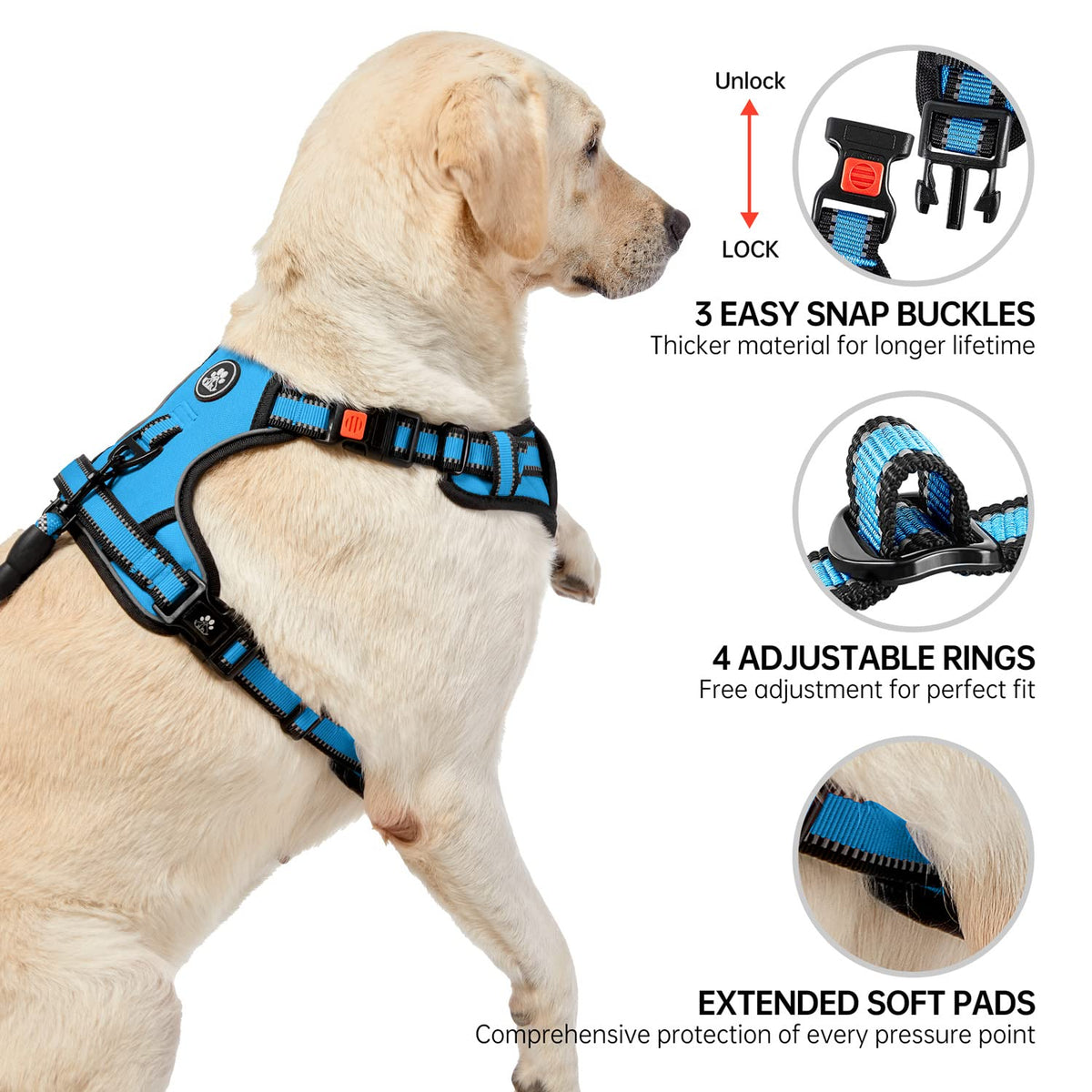 Dog Harness for Medium Sized Dog (Blue / Medium)