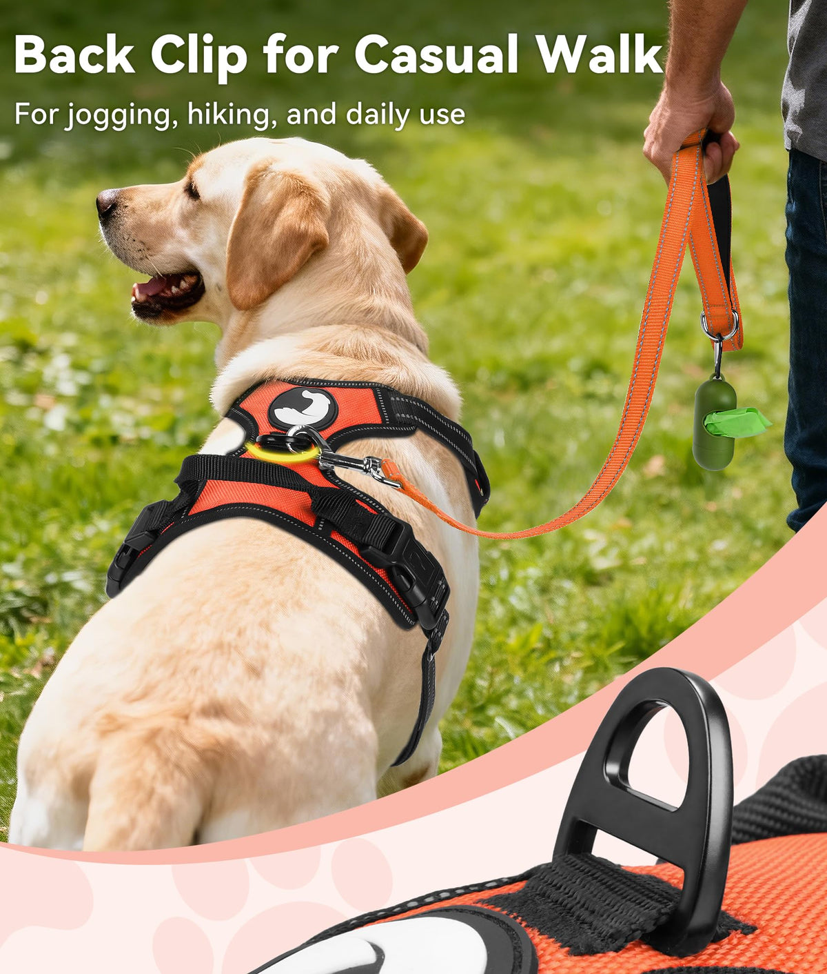 No Pull Dog Harness for Small Dogs (Small / Orange)