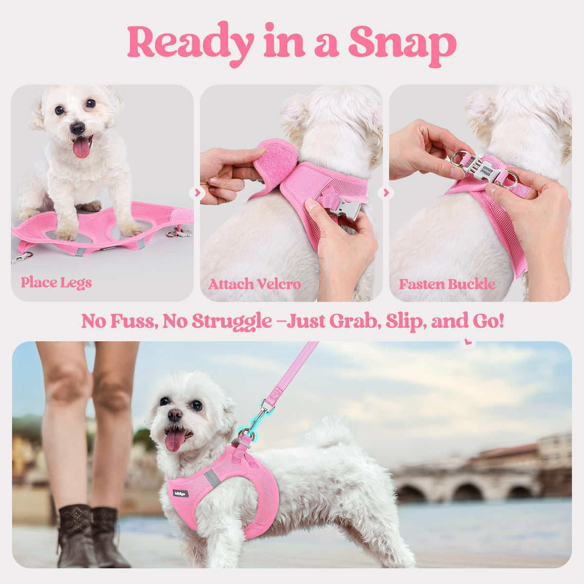 Dog Harness Small Sized and Leash Set (Light Pink / S (chest: 15.1 - 16.5"))