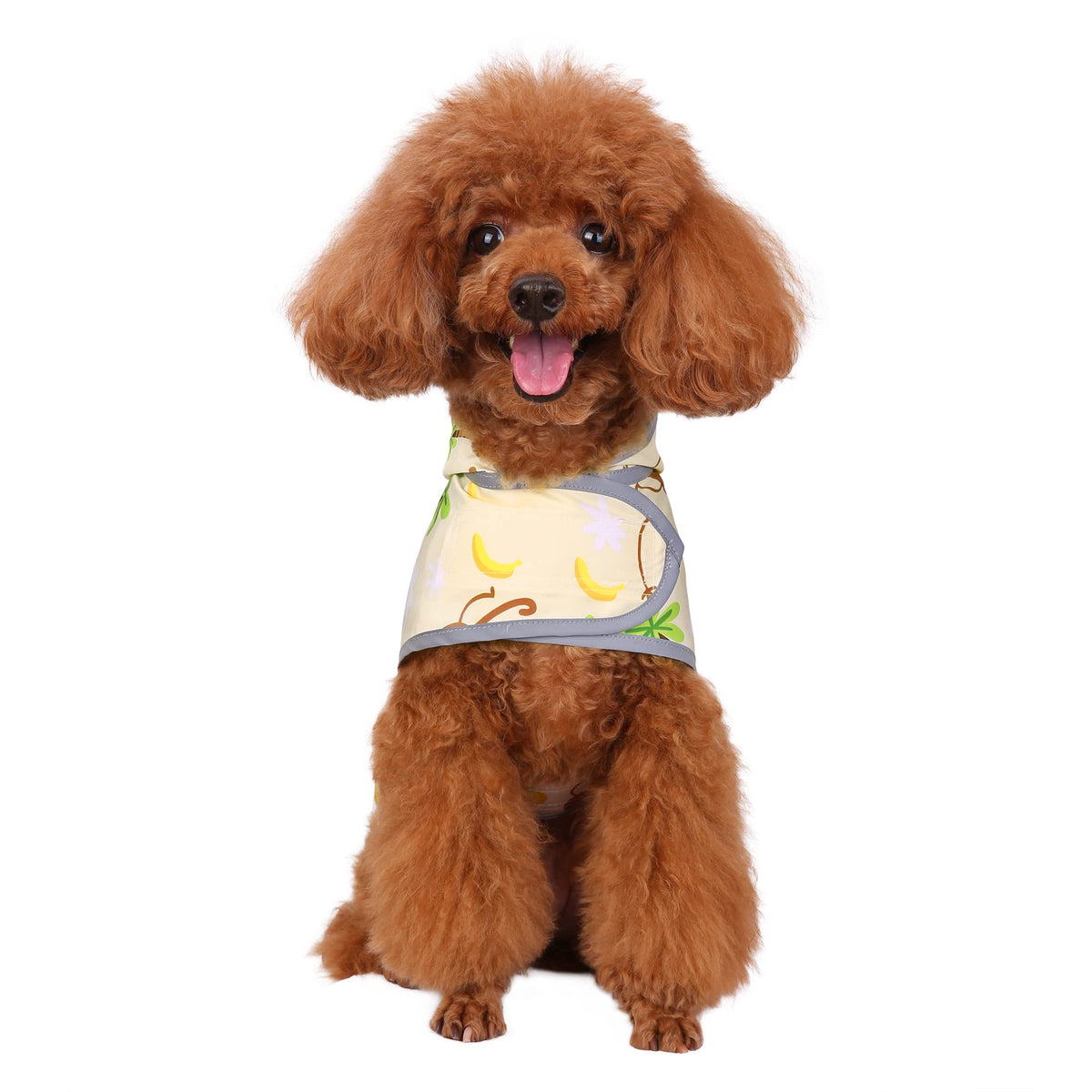 Dog Raincoat for Small Dogs Puppies Waterproof Jacket Hooded Rain Coats with Reflective Strips Leash Hole & Poncho Adjustable Fit (Monkey Banana / Small)