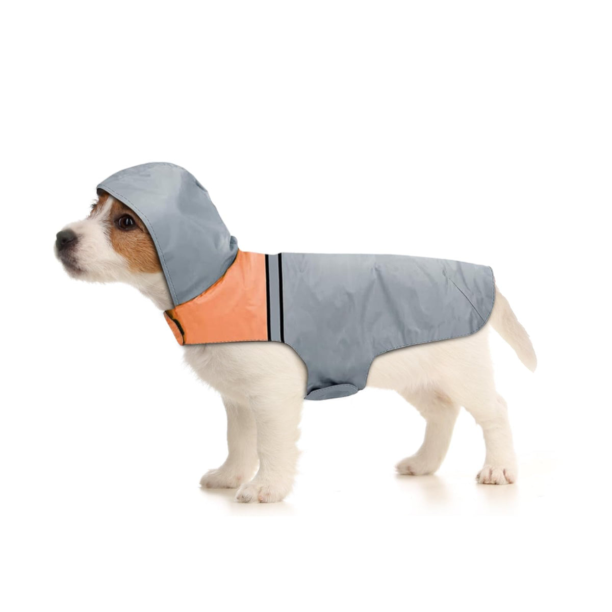 Dog Raincoat with Reflective Strip (S / Grey)
