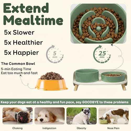 Elevated Slow Feeder Dog Bowls with Splash Proof Stand (Medium / Green)