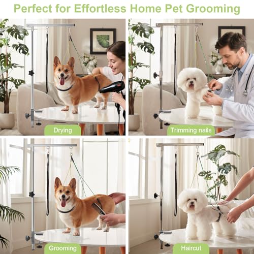Home Dog Grooming Table Arm with Hammock 35" Height Adjustable Dog Grooming Arm with Clamp No (White / Small/Medium)
