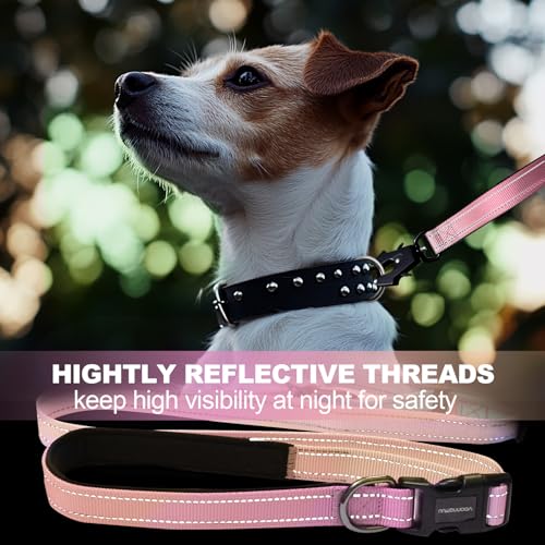 Heavy Duty Hands Free Dog Leash with Quick Release Carabiner and Adjustable No Pull Bungee Dog Running Waist Leash (Pinkish Yellow)