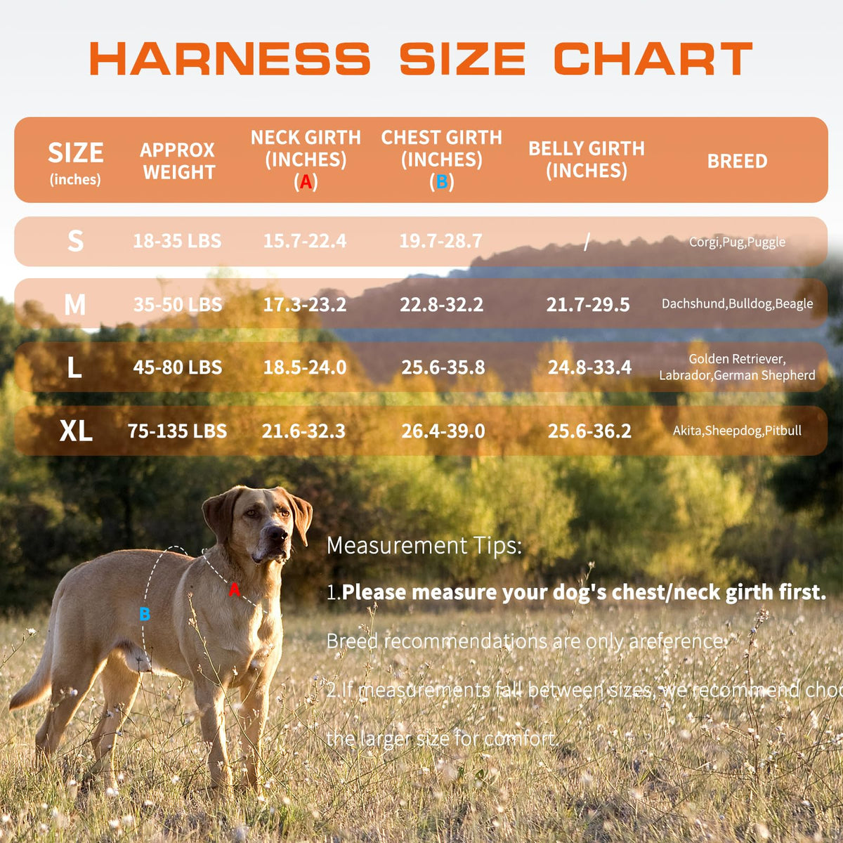 Dog Harness for Large Dogs (Orange / L(Neck:18-24",Chest:25-36"),45-80 lbs)