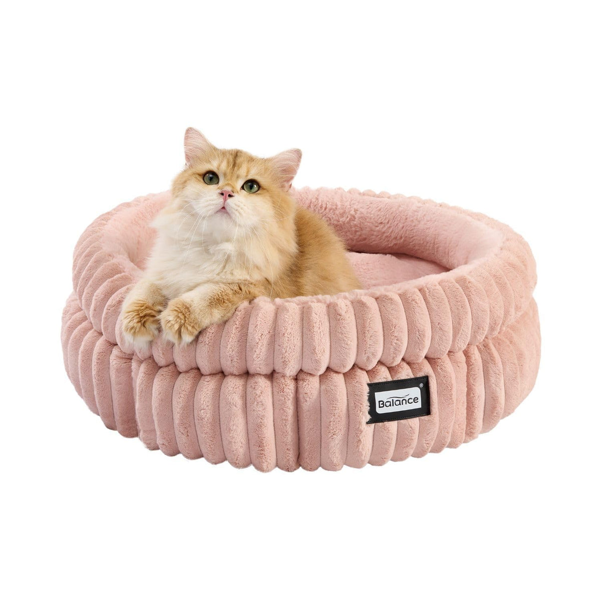 Cat Bed Kitten Bed (24.0"L x 24.0"W x 9"Th / Acorn Pink)