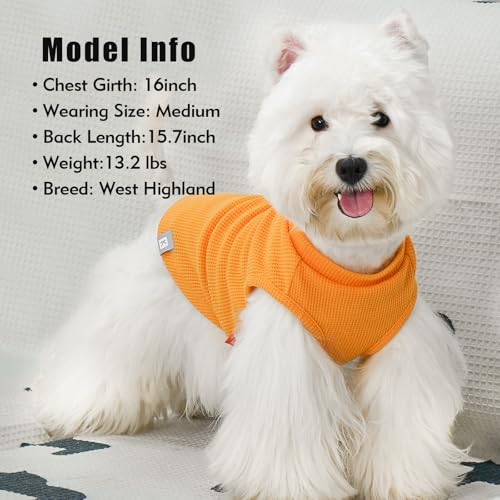 2Pack Waffle Dog Shirt for Small Dogs Striped Dog Sweater Tank Top (Small (4-7lbs) / 2Pack(orange+Striped))