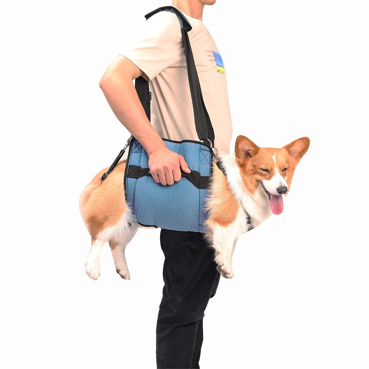 Dog Carry Sling (Blue / Large)