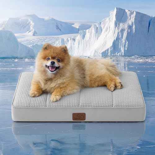 Small Cooling Dog Bed (24"L x 16"W x 3"Th / Cooling Grey)