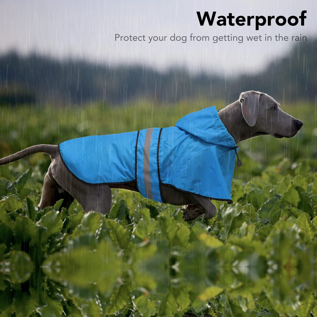 Dog Raincoat Waterproof Dog Rain Jacket with Leash Hole (Small / Blue)