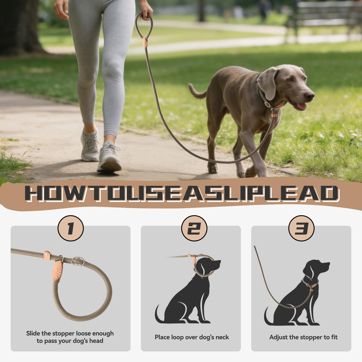 Heavy Duty Slip Lead No Pull Leash 6 (Khaki / 6 Feet)
