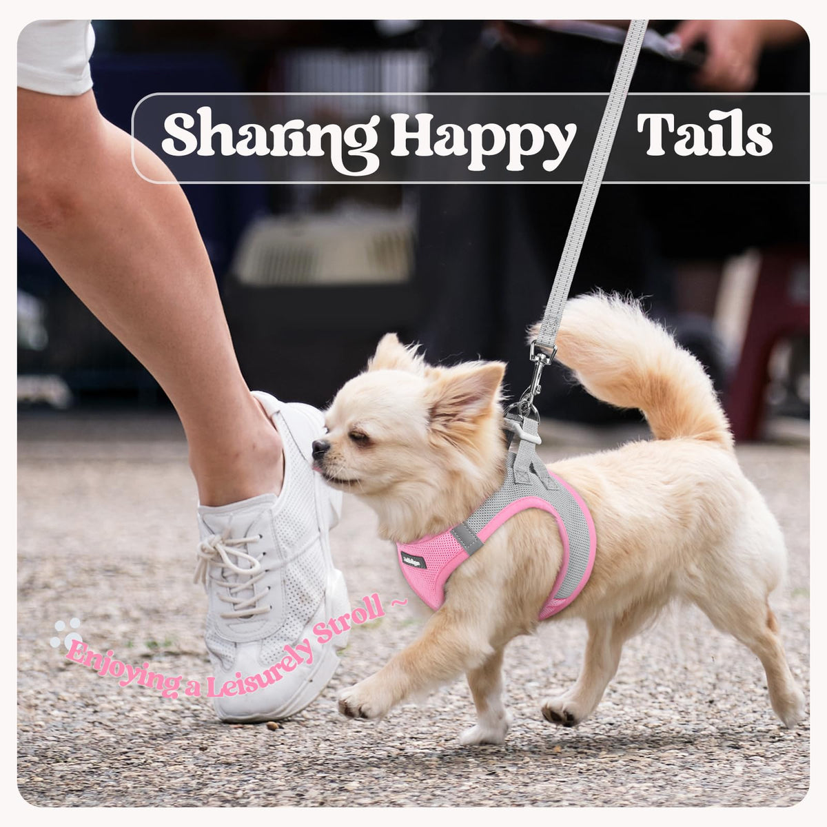 Dog Harness Small Sized and Leash Set (Light Pink & Gray / Xs (chest: 13.3 - 15.5"))