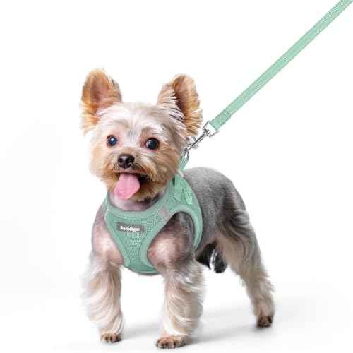Dog Harness Small Sized and Leash Set (Moss Green / Xs (chest: 13.3 - 15.5"))