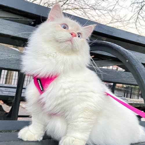 Voyager Step in Lock Cat Harness & Leash Set (Fuchsia / S (Chest: 15 - 18"))