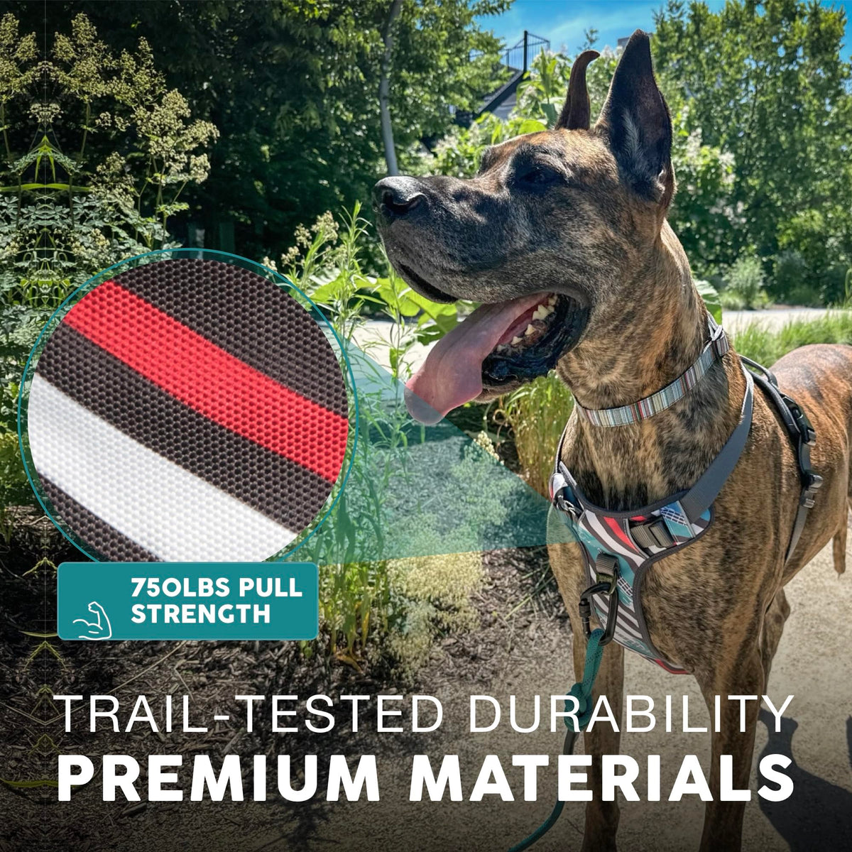 Embark No Pull Dog Harness (XL / Maverick)