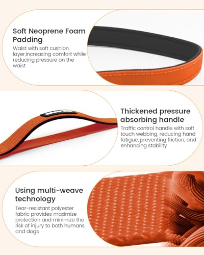 Hands Free Dog Leash (Orange / Large-5.9-9.5ft)