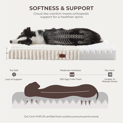Dog Bed Medium Sized for Crate (Cream / M(30x20x3"))
