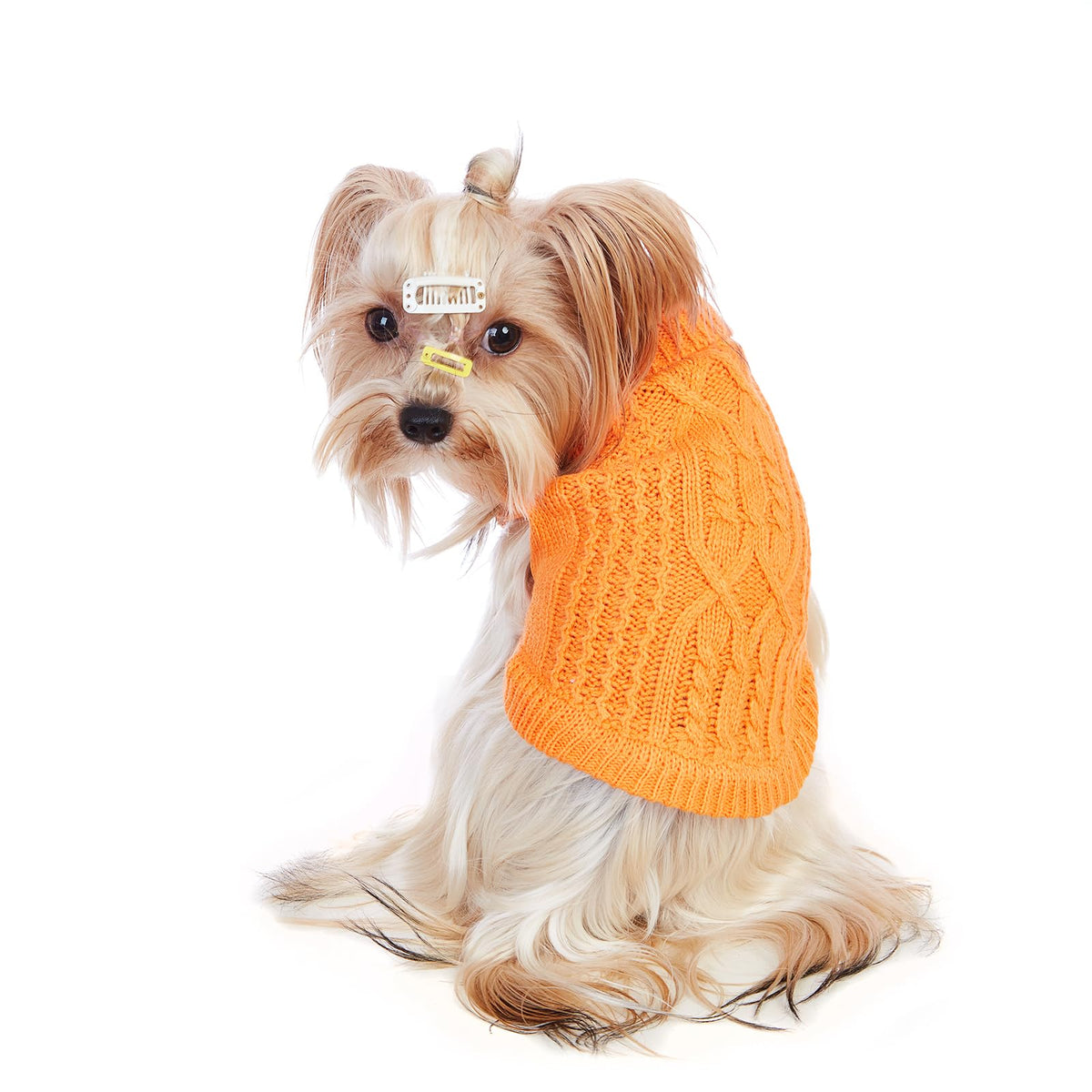 Cat Sweater Stretchy (Orange / Medium)