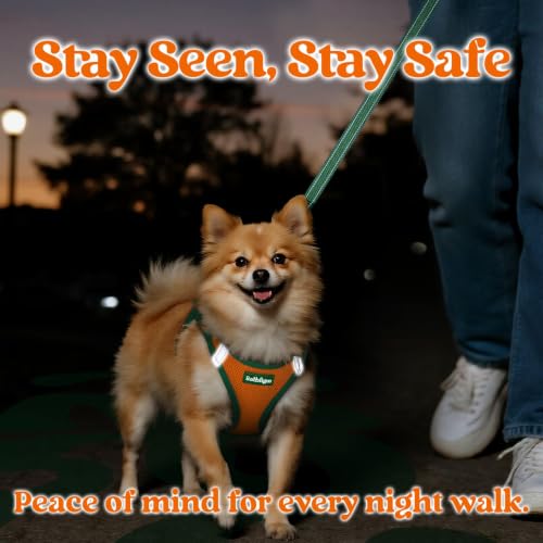 Dog Harness Small Sized and Leash Set (Orange & Dark Green / M (Chest: 16.0"-18.5"))