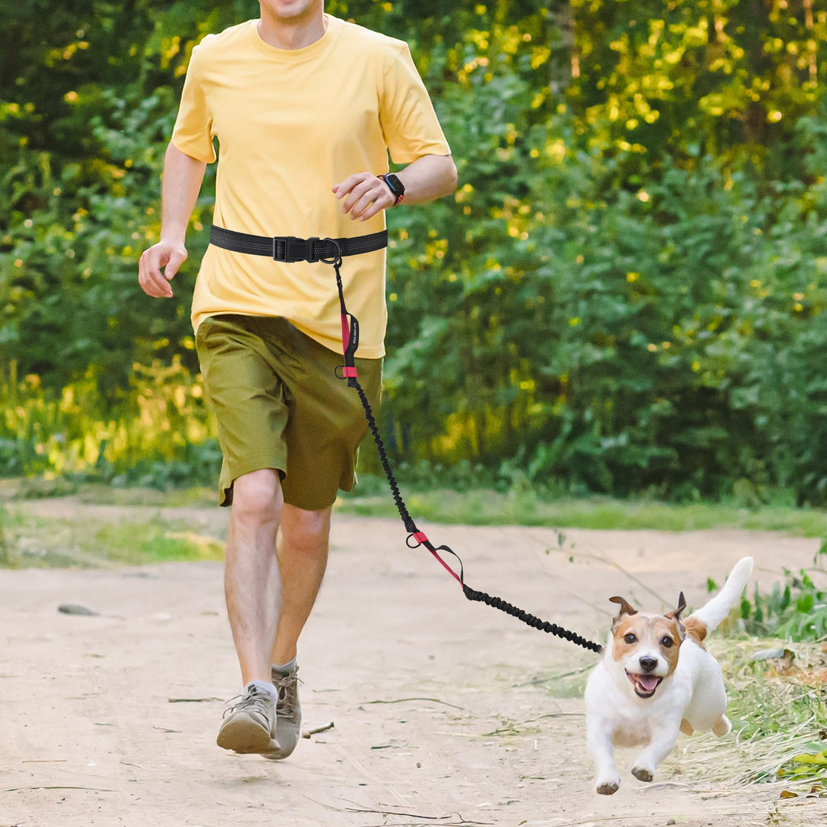 Hands Free Leash (Black Hot Pink / 7FT Hands Free)