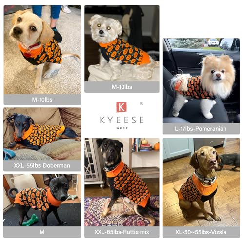 Dog Halloween Sweater for Medium Dog Pumpkin Outfit for Holiday Wear (X-Large (19-27lbs) / 02#Halloween)