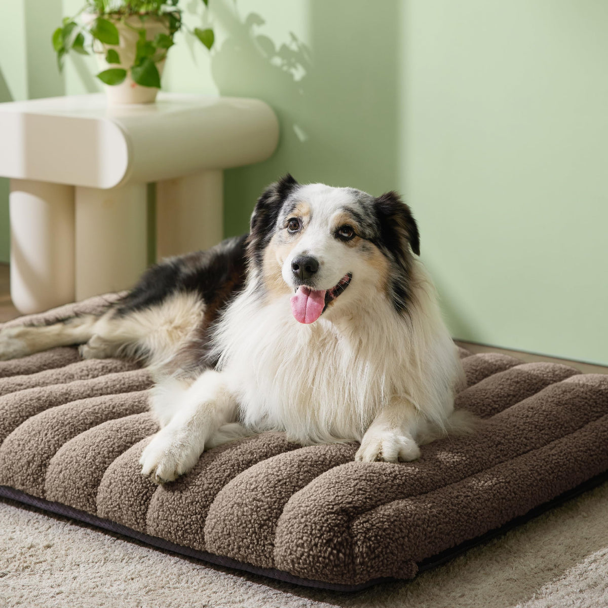 Cute Orthopedic Dog Bed Large Sized Dog (36"L x 27"W x 4"Th / Brown)