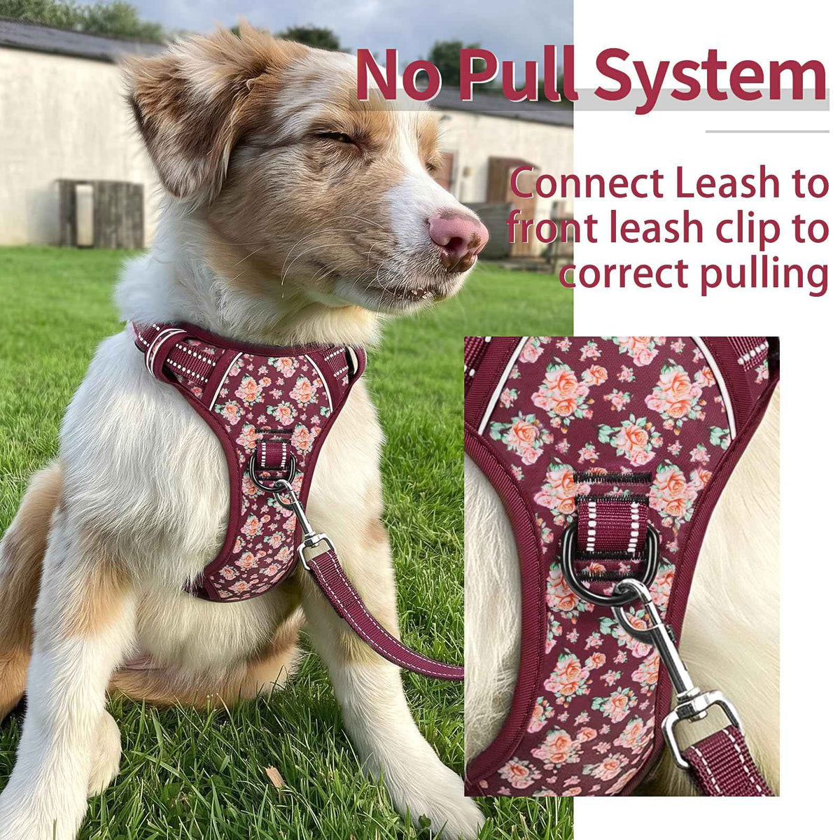 Large Dog Harness (L / Flower Burgundy)