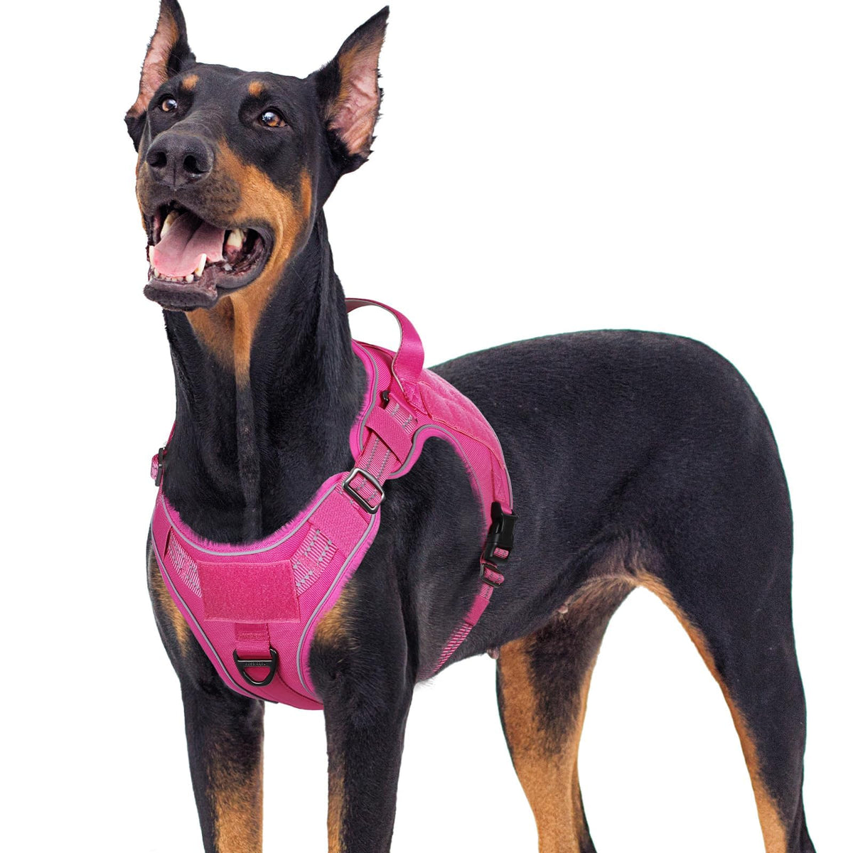 Tactical Dog Harness for Large Dogs (Xl(chest:23.6"-41.8",neck:21.7"-32.3",back:9.1") / Rose Red)