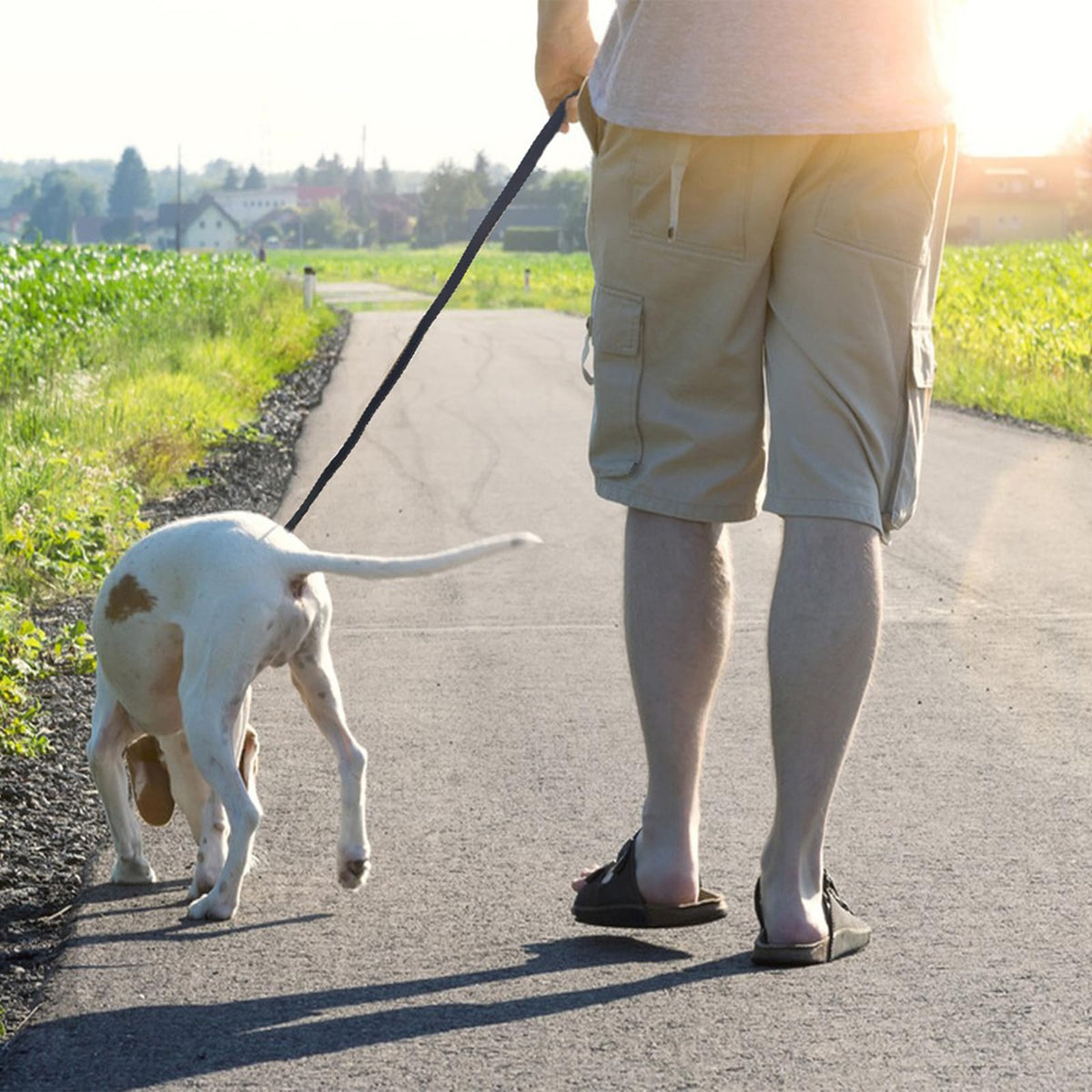 Black Leather Dog Leash 8ft (8 ft x 3/4 inch / Black)