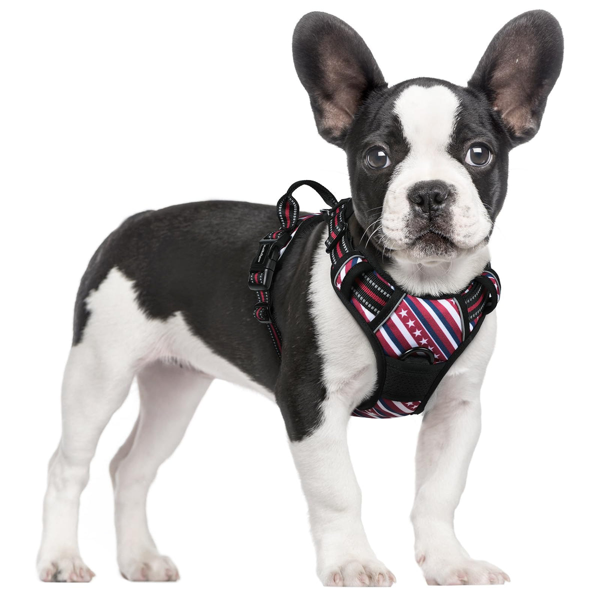 Dog Harness No Pull for Small Dogs with 2 Leash Clips (Red Stripe / Small)