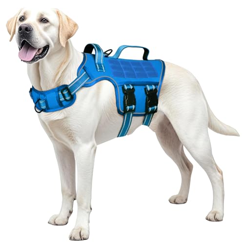 Dog Harness for Large Dogs (Blue / L(Neck:18-24",Chest:25-36"),45-80 lbs)
