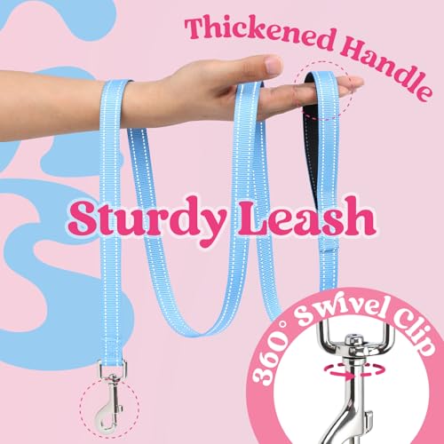 Dog Harness Small Sized and Leash Set (Pink & Blue / XXS (Chest: 12.4"-14.2"))