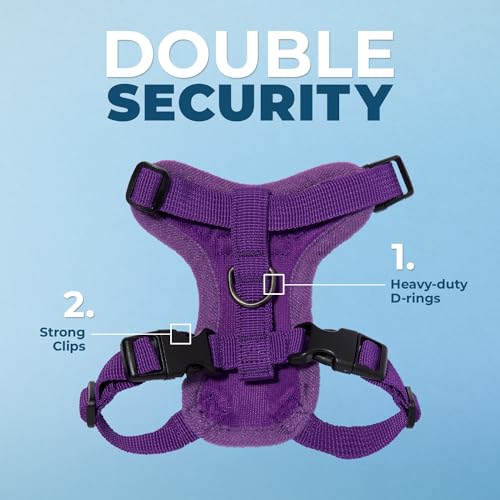 Voyager Step in Lock Cat Harness & Leash Set (Purple / XXS (Chest: 11.5 - 14"))