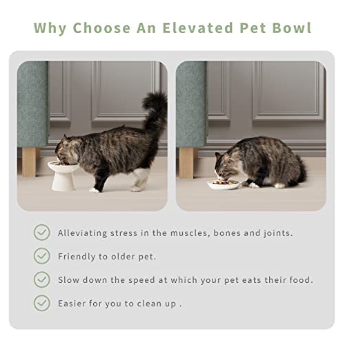 2 Pack Elevated Ceramic Cat Bowls Extra Wide for Food & Water + Food Mat White+Mat (White+Mat)