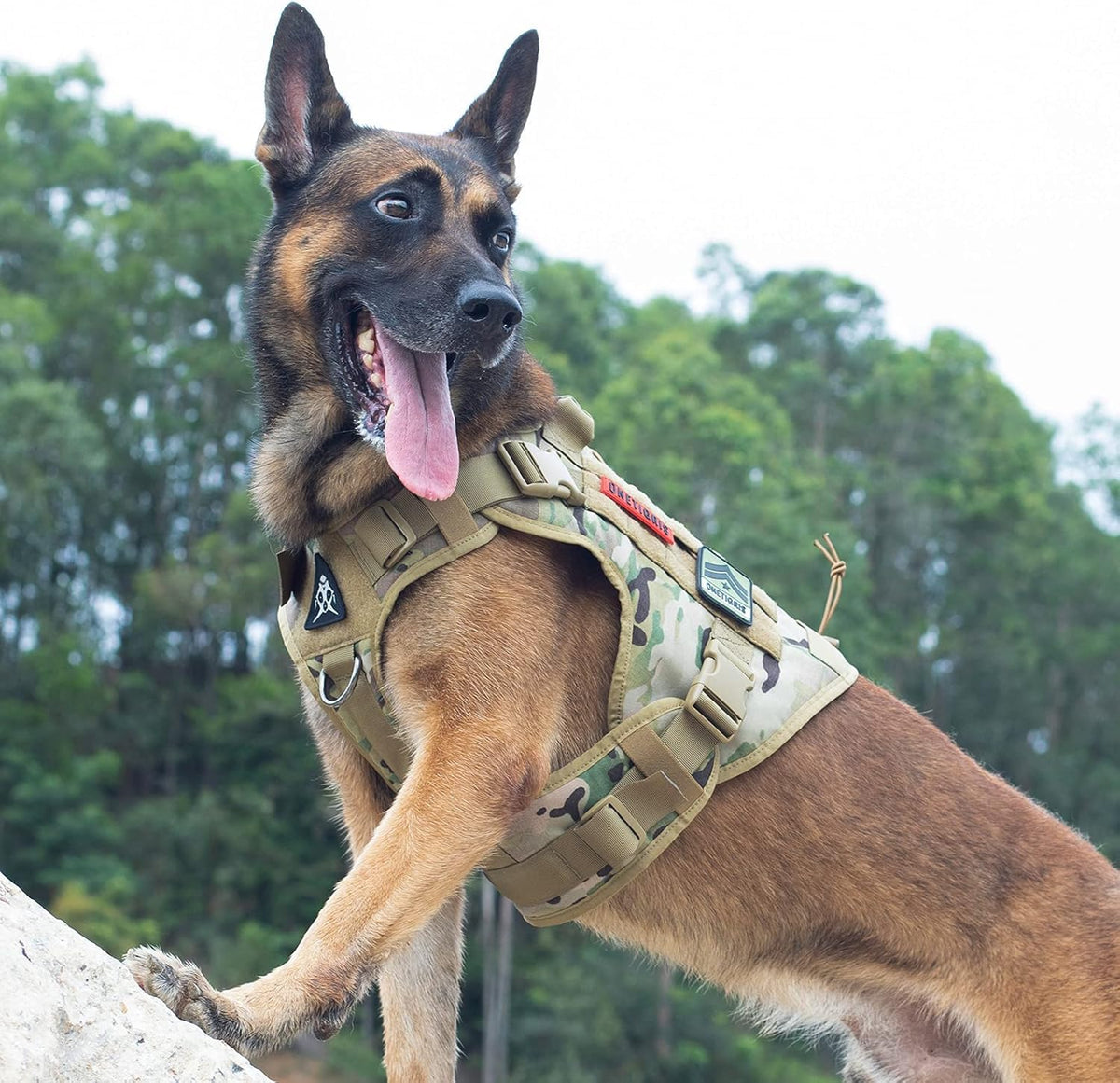 Tactical Dog Harness with Handle No (Large / Multi-colored)