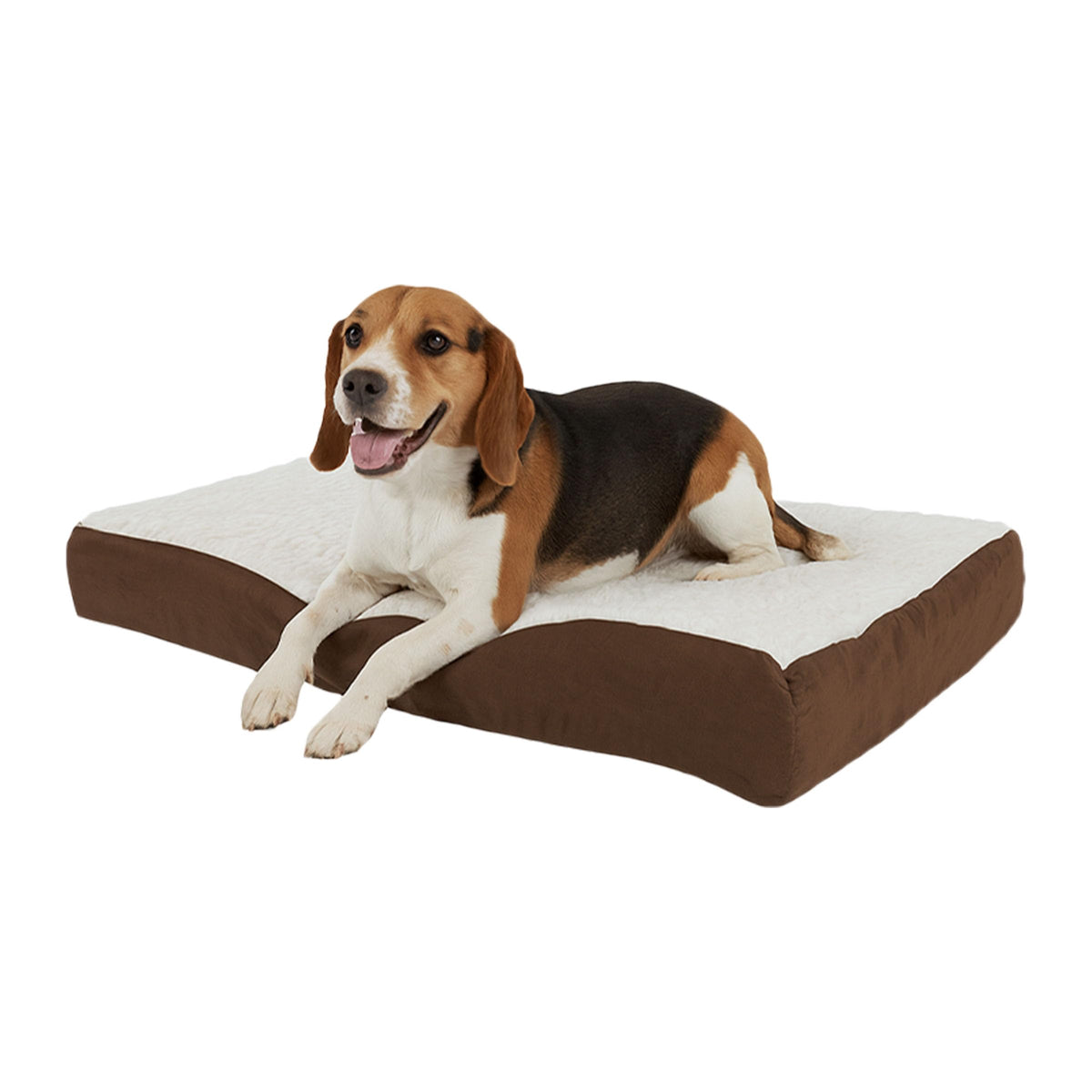 Orthopedic Dog Bed (Brown / Medium)